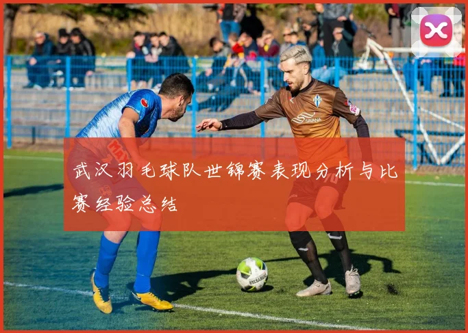 武汉羽毛球队世锦赛表现分析与比赛经验总结